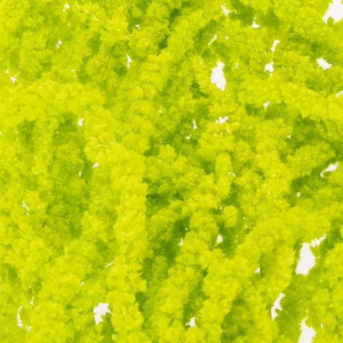 Produkt Suszone kwiaty z liszy, barwione, do wyjątkowej dekoracji wnętrz i wyjątkowych akcentów, 100 cm, 5 sztuk