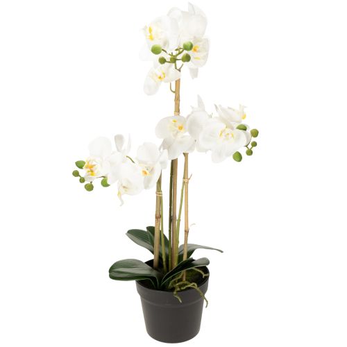 Produkt Sztuczna orchidea w doniczce, która stworzy harmonijną atmosferę, biała, 60 cm