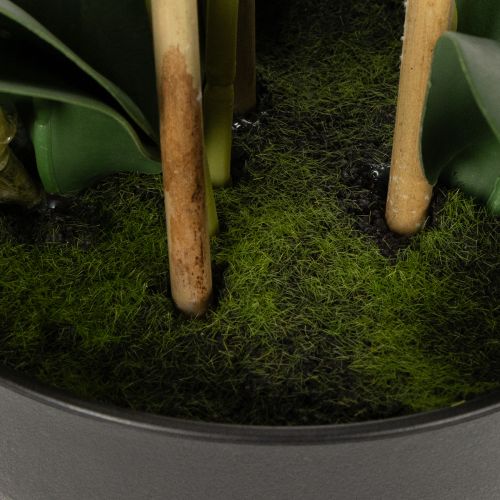 Produkt Sztuczna orchidea w doniczce, która stworzy harmonijną atmosferę, biała, 60 cm