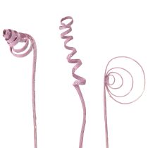 Produkt Trzcina stożkowa, trzcina, asortyment, jagodowa, 30 cm, 75 szt.