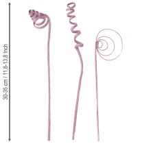 Produkt Trzcina stożkowa, trzcina, asortyment, jagodowa, 30 cm, 75 szt.