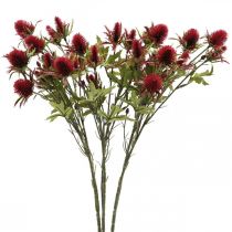 Produkt Oset Sztuczny Kwiat Czerwony Burgundowy 10 główek kwiatowych 68cm 3szt.