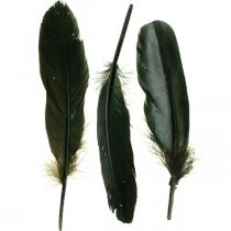 Produkt Pióra dekoracyjne czarne ptasie pióra do wykonania 14-17cm 20g