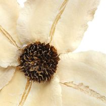 Produkt Kwiat drewniany jako zatyczka, bielony Ø9-12cm L45cm 15szt