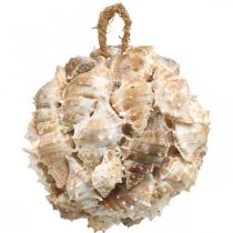 Produkt Kula dekoracyjna muszle ślimaków muszle dekoracyjne wiszące natura Ø12cm