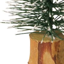 Produkt Mini choinki ośnieżony zimowy las Ø5cm wys.8cm 12 szt.