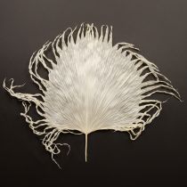 Produkt Liście palmowe suszone ozdobne bielone 45cm 5 szt.