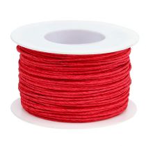 Produkt Drut papierowy owinięty Ø2mm 100m czerwony