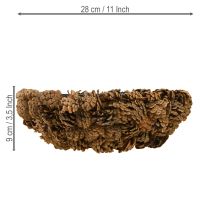 Produkt Donica na rośliny prawdziwe szyszki donica naturalna Ø28cm wys.9cm