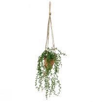 Produkt Sztuczne sukulenty wiszące sztuczna roślina w doniczce 34cm