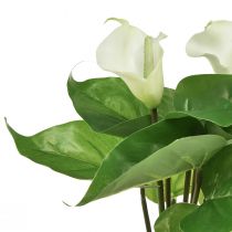 Produkt Calla Lily Kalla Sztuczne Kwiaty Białe Egzotyczne Kwiaty 34cm