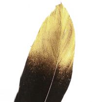 Produkt Pióra dekoracyjne czarne złoto prawdziwe gęsie pióra 15-20cm 50szt