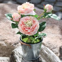 Produkt Dekoracyjna róża w doniczce, romantyczne jedwabne kwiaty, różowa piwonia
