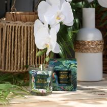 Produkt Świeca zapachowa w szklanym naczyniu Świeca Ogórek-Eukaliptus Zielona Ø7cm