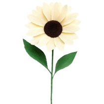 Produkt Bibuła florystyczna krepa florystyczna szampan 50×250cm 5 szt.