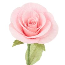 Produkt Bibuła florystyczna krepa florystyczna zielona trawiasta 50×250cm 5 szt.