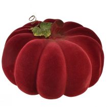 Jesienna dekoracja dynia flokowana czerwony bordowy - dekoracja dyniowa zapewniająca niepowtarzalny jesienny klimat 32cm