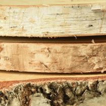 Produkt Tarcze drewniane drewno brzozowe z krążkami kory drzewnej Ø20-22cm 3 sztuki