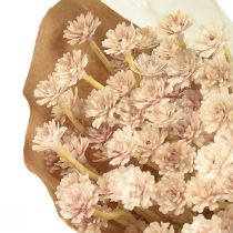 Produkt Włoskie sztuczne kwiaty truskawkowe różowe L28cm