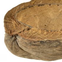 Produkt Kokos jako miska donica naturalna doniczka 20cm 5 sztuk