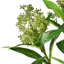 Produkt Kwiaty sztuczne zielone Skimmia japonica Skimmie 45cm 2szt