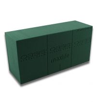 Produkt Wtyczka OASIS® moss maxlife standard 20 cegieł