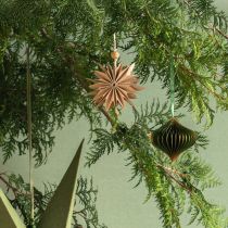 Produkt Gwiazdki papierowe do zawieszenia, brązowe, białe, 12cm, 6 szt.