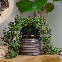 Produkt Sztuczny sznurek perłowy w zielonej roślinie w kulce mchu 38cm