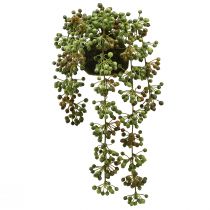 Produkt Sztuczny sznurek perłowy w zielonej roślinie w kulce mchu 38cm
