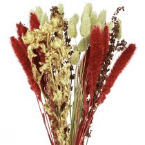 Produkt Bukiet suszonych kwiatów ziarno suchy bukiet czerwonego złota 50cm