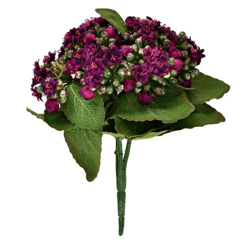 Produkt Płonący Käthchen Kalanchoe sztuczny fiolet 24cm