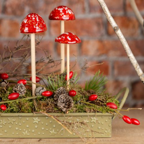 Produkt Muchomory na patyku, czerwone, 4cm, zestaw 6 szt. - dekoracyjne grzyby ogrodowe do jesiennej dekoracji