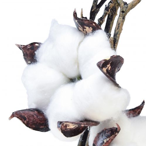 Produkt Gałązka bawełniana kwiaty bawełniane sztuczny brązowy biały L95cm