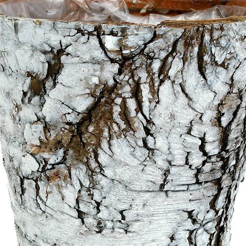 Produkt Brzozowa doniczka średnia donica brzozowa biała Ø12cm W10,5cm 4szt