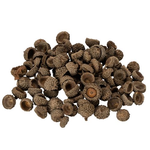 Produkt Naturalne czapeczki z żołędzi, ozdobne miseczki na jesień i adwent, 2 cm, 300 g