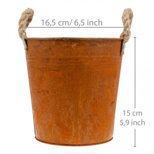 Produkt Metalowa doniczka z uchwytami, doniczka na zioła, dekoracja rdzy Ø16,5cm W15cm