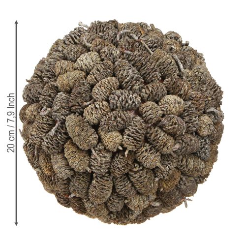 Produkt Szyszka olchowa kula ozdobna do zawieszenia, bielona, 20 cm