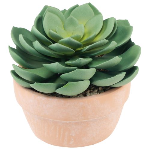 Produkt Sukulent w doniczce Echeveria sztuczna zieleń Ø15cm