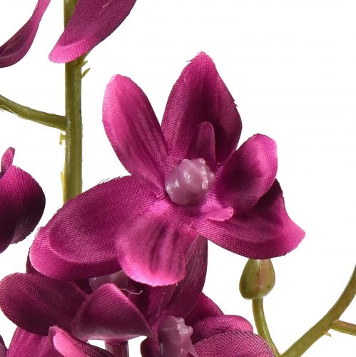 Produkt Mały sztuczny storczyk Phalaenopsis kwiat ciemnofioletowy 30cm