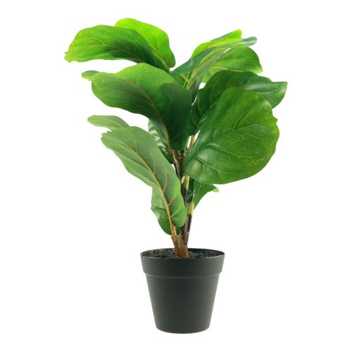 Produkt Sztuczna roślina doniczkowa Ficus Sztuczna roślina w doniczce 42cm