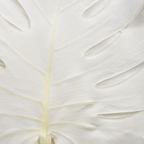 Produkt Bielone liście Monstery, dekoracyjna folia okienna, wys. 40 cm, 5 szt.