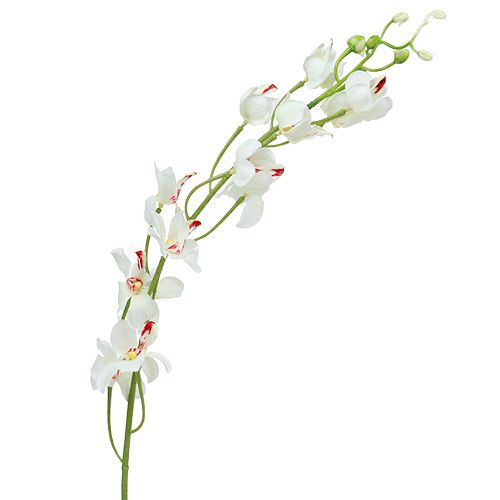 Produkt Orchidea Mokara Biała 92cm 3 szt