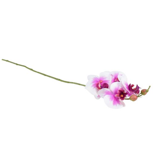 Produkt Orchidea Sztuczny Phalaenopsis 4 Kwiaty Biały Różowy 72cm