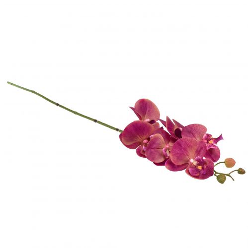 Produkt Sztuczna orchidea Phalaenopsis Orchid Fuksja 78cm