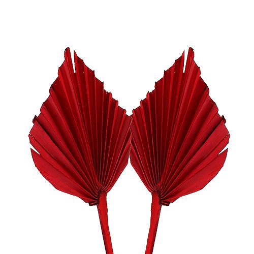 Produkt Włócznia palmowa mini czerwona 100szt