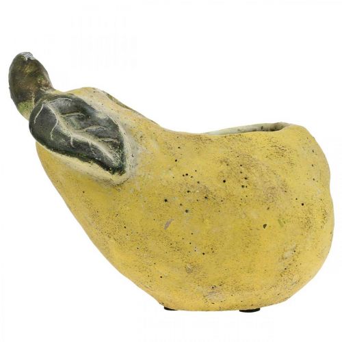 Produkt Gruszka do sadzenia, dekoracja jesienna, naczynie betonowe L19cm H15,5cm