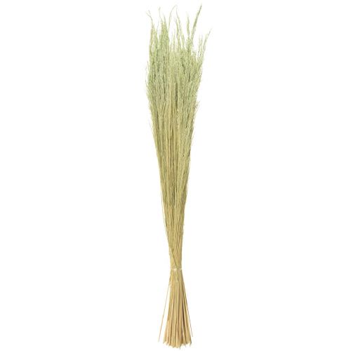 Produkt Trawa Wygięta Agrostis Capillaris Trawy Suche Zielone 65cm 80g