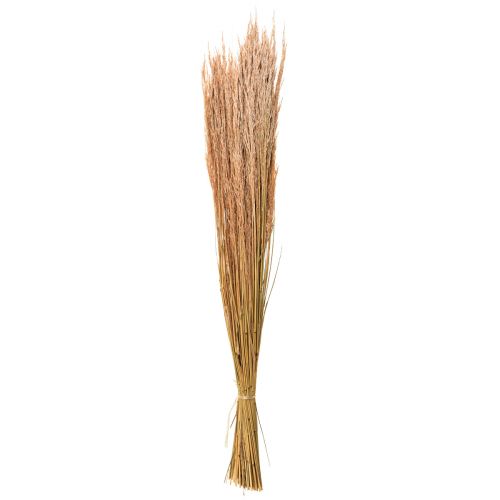 Produkt Trawa gięta czerwona Agrostis Trawa sucha czerwono-brązowa 65cm 80g