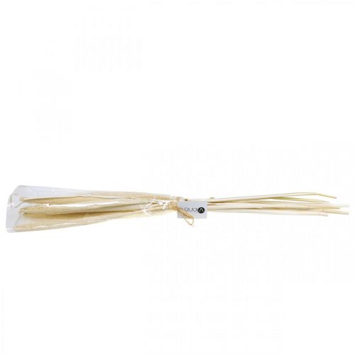 Floristik24 Reed deco trzcina suszona bielona trawa H60cm wiązka