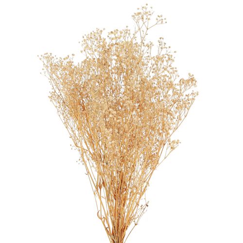 Gypsophila Bratek Gipsowy Ziele Kwiaty Białe 50cm 55g